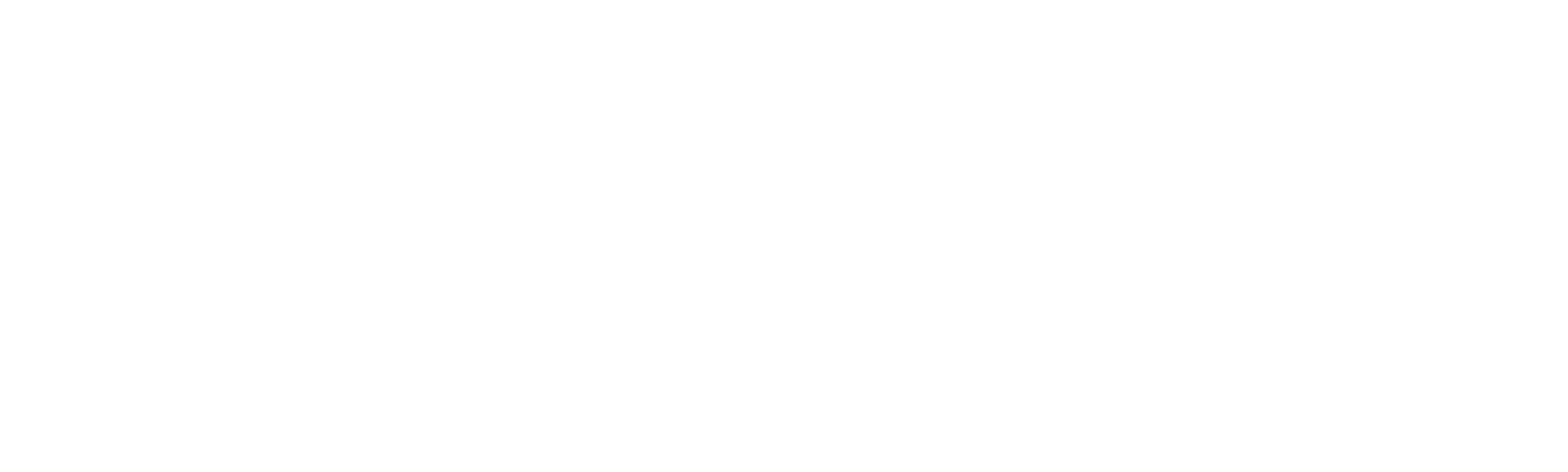 Bigger Picture logo